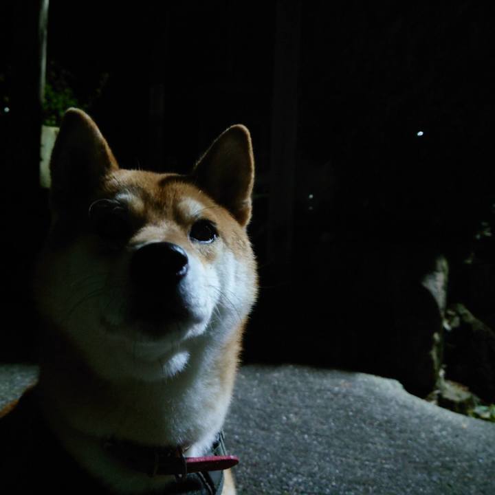 8ecc3ae5 0966 472b 8c28 a2be914aea83 1763251362228