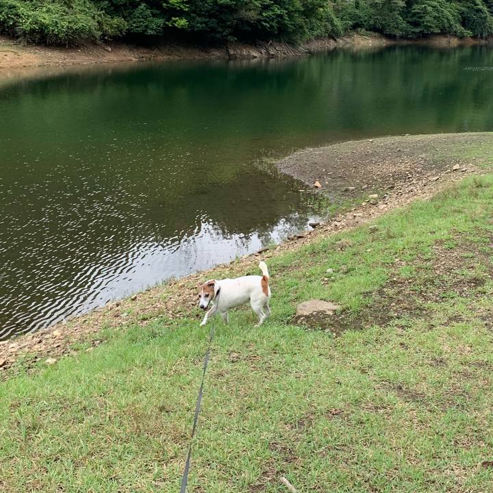 8ecc56a5 1a3b 4710 bf41 83e0a281cc59 1599124233680