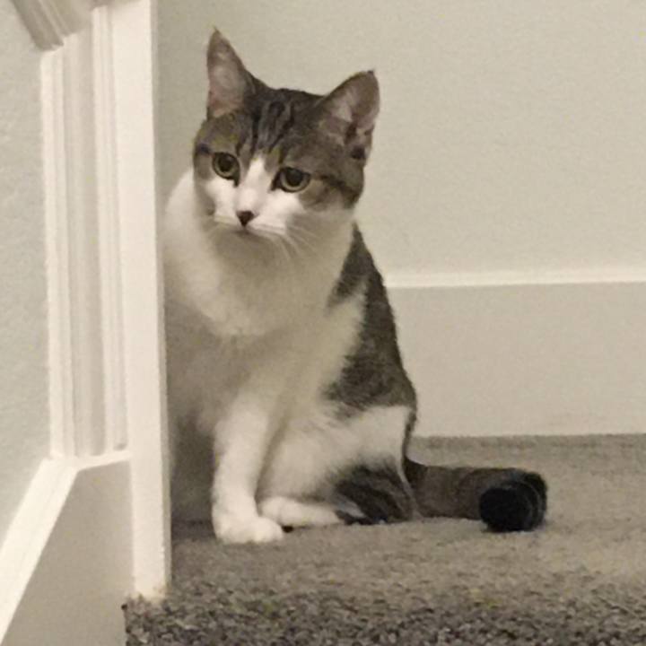 8ecc7aa2 16cb 4195 835e 725431134518 1663801364768