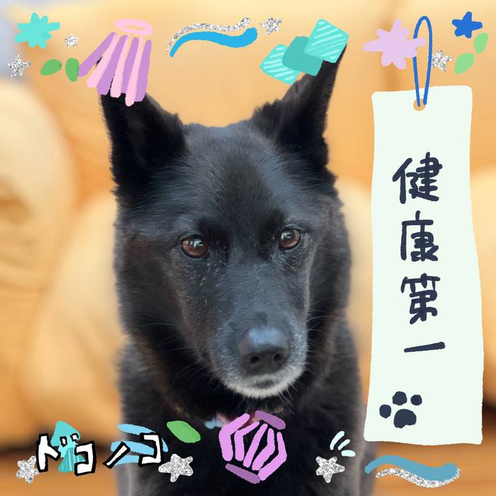 8ecc8146 5d36 43a8 812a 5c0db6723a8f 1720994492355