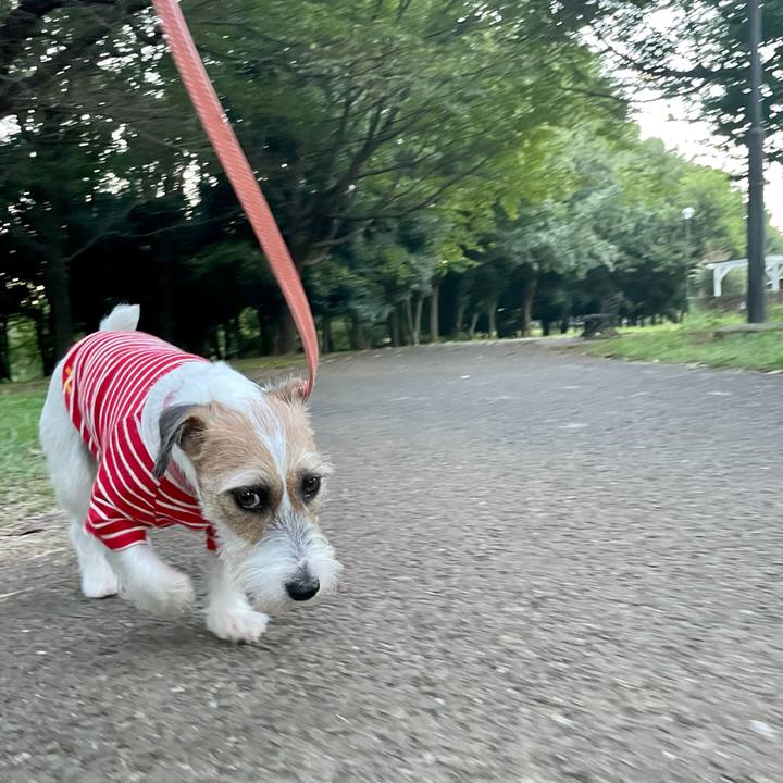 8ecc8c09 ccea 4509 af0d f3587a6fc03d 1629287273311