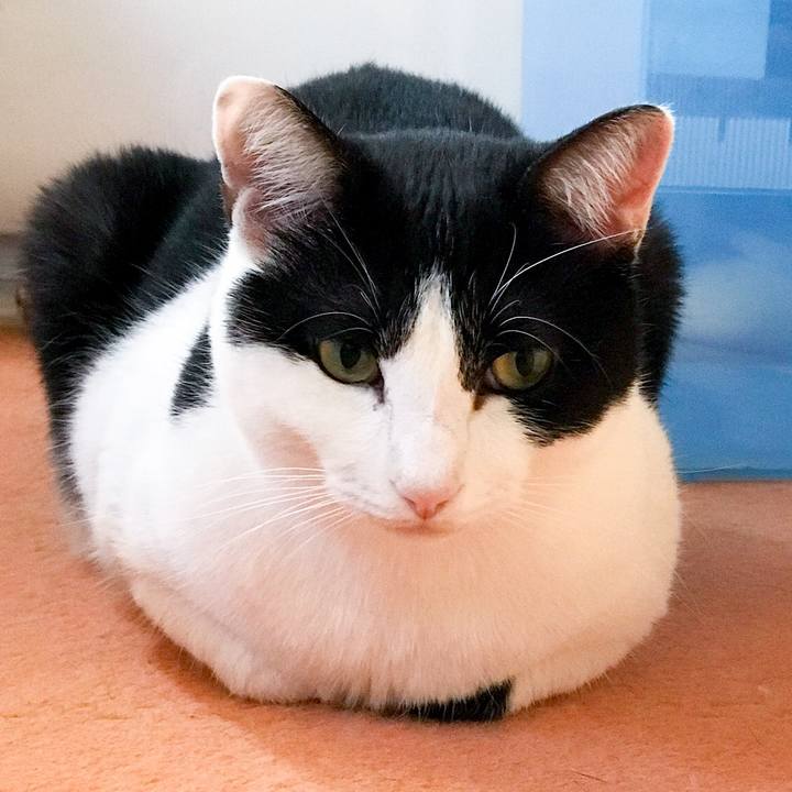 8ecccb30 7edc 4963 9987 147371487b83 1512202989648