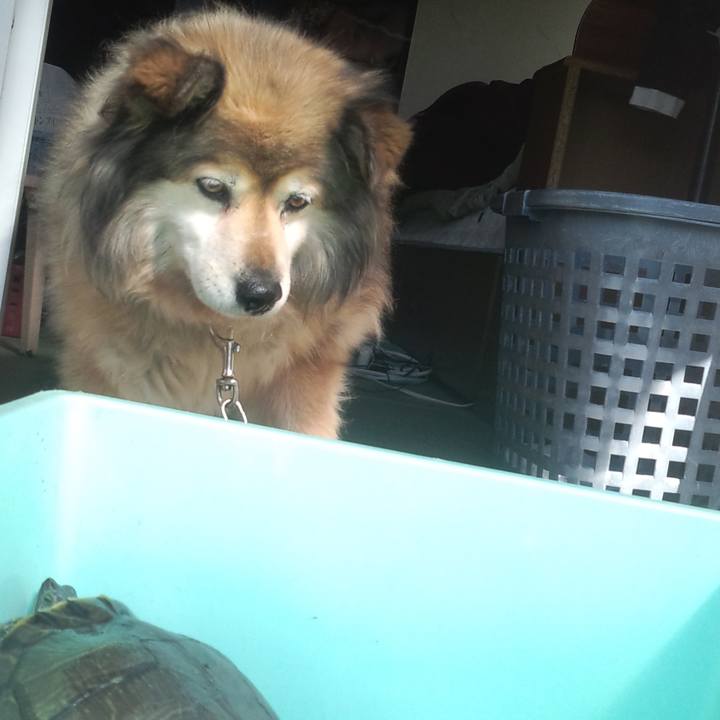 8ecd4029 fe4f 4e29 8d41 ad779cc96987 1662184160818