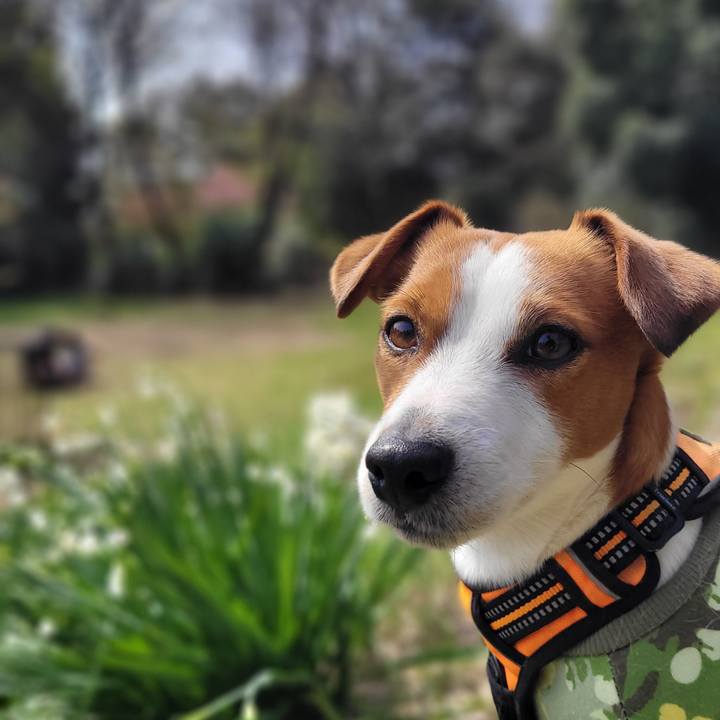 8ecd4642 6073 4581 be9b f829dd5c73fc 1648884065585