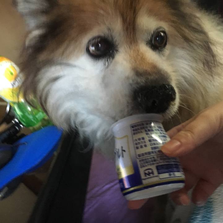 8ecd5114 5dd1 42e8 b226 02b265a3fa0f 1552605575498