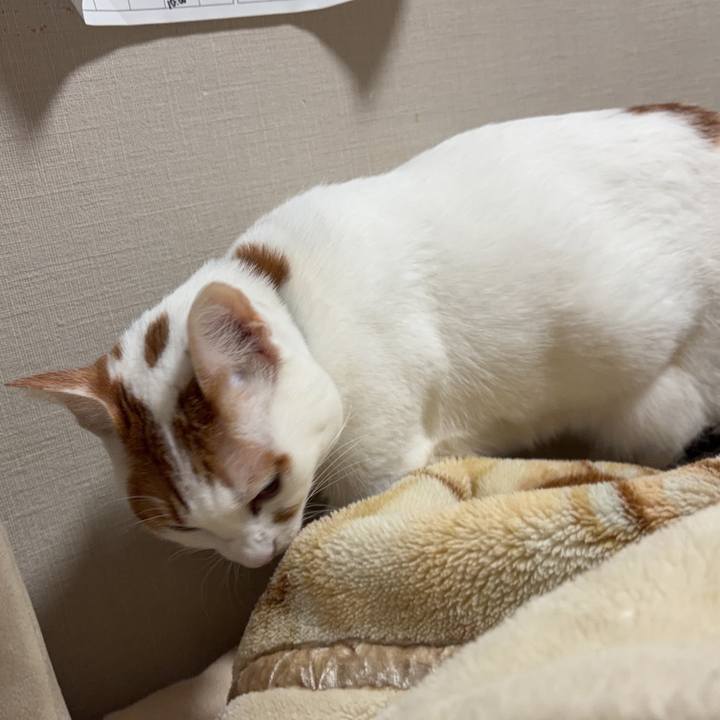 8ecd5ba7 5a93 4a3a aca2 8fc4d0b700bc 1769018388775