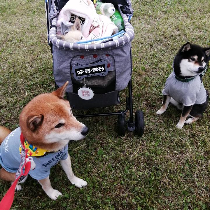 8ecd5d24 ea69 4997 9e6c 030b07acece3 1602429783245