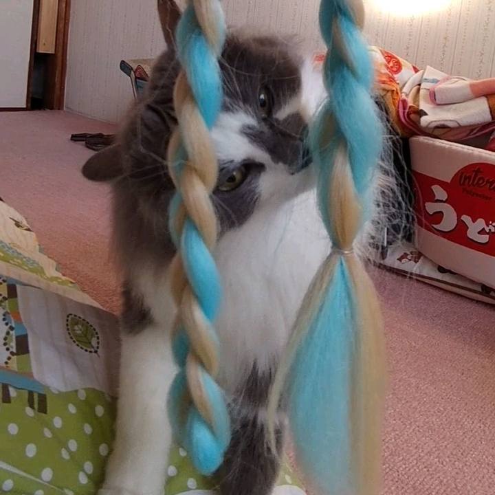 8ecd7ba5 d8b0 473c 8c69 b691e8999694 1645083765301