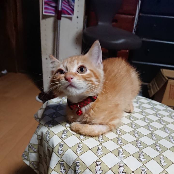 8ecda89e a594 46f9 8cc6 e18d20b08d6b 1629058268049