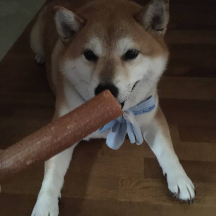 8ecdb637 1ade 4da6 aa7b 6c64804fa47c 1598765617767