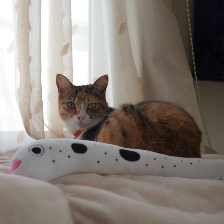 8ecdeea4 9747 4ffc 9f4d 86227c3ab30b 1612671160008