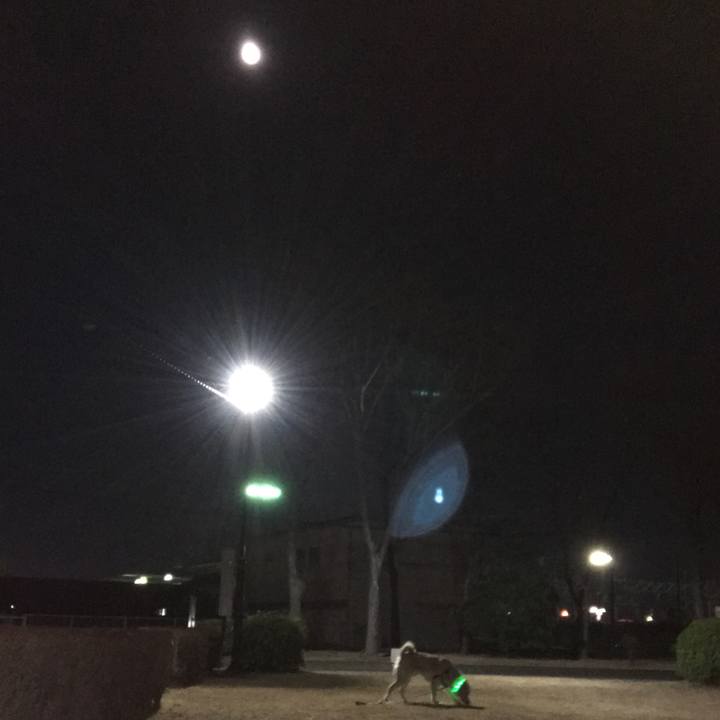 8ecdf12f a1fb 4b92 9b16 7a936341069c 1517315835949