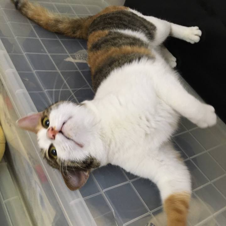 8ece1d87 8476 4d23 b9fe 91d0c3556948 1523523323072