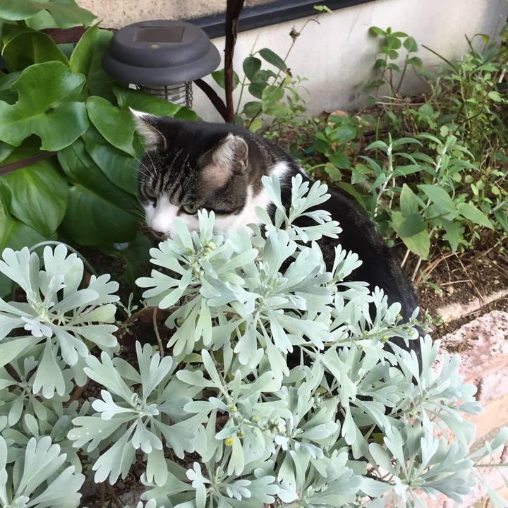 8ece240a 56c4 431e 8b35 023ac3b48636 1510216195376