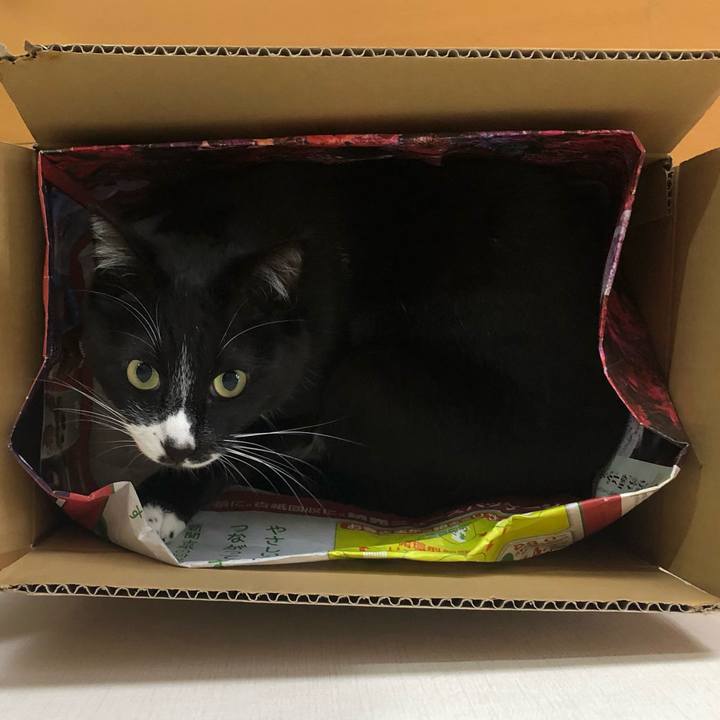 8ece6408 4307 4de9 8beb 1c9ea98af761 1620878332709