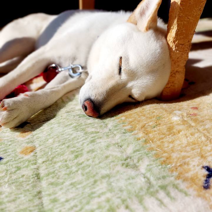 8ece9a0f 49c4 4be6 b9fe 642f7f9b1f7b 1704679393461