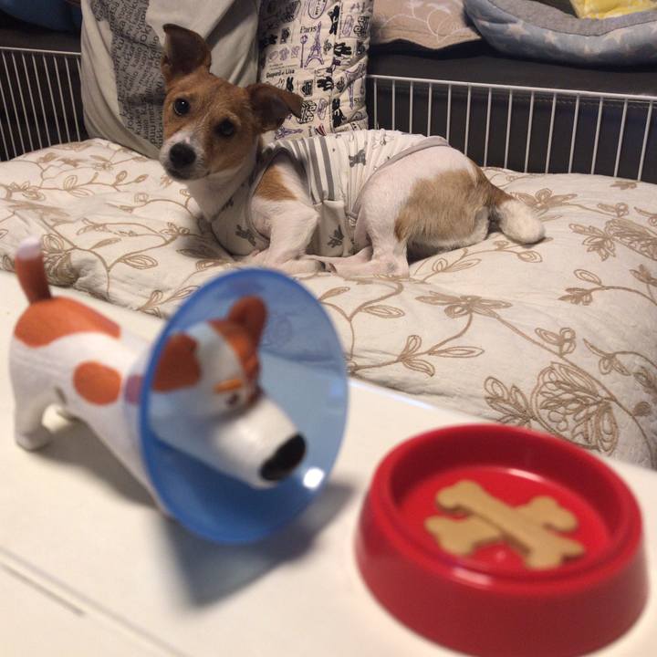 8ece9f49 b5dd 4bc8 a93b 3fb601a6b111 1565256879999