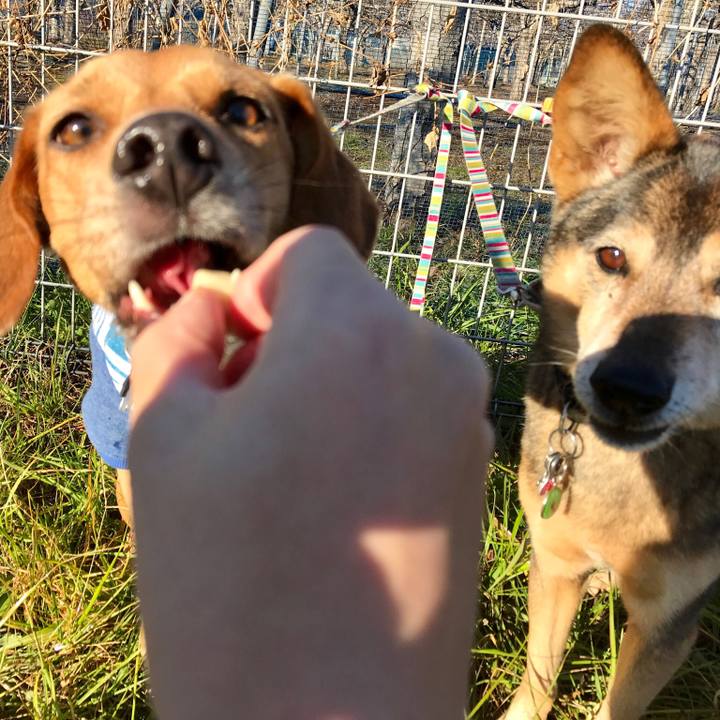 8ecea7c8 95d0 4b27 a003 c37669483da6 1514975264255