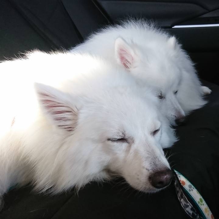 8ecef42f 6647 4ac3 85eb 3653b75df1c7 1565506812830