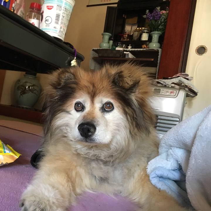 8ecefa16 9208 4080 a126 a2da15118166 1556847662866