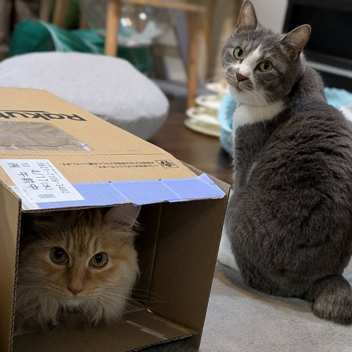 8ecf0295 aa97 4d4b bce6 6624600b0bab 1744879698694