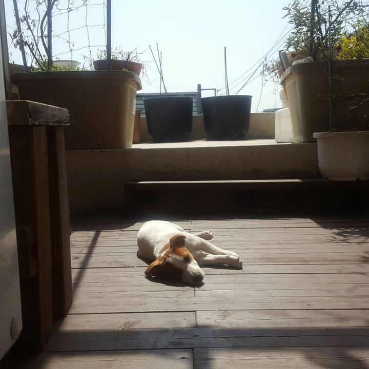 8ecf4b8b 4075 4e7a a334 1b55a27dfd66 1553478396791