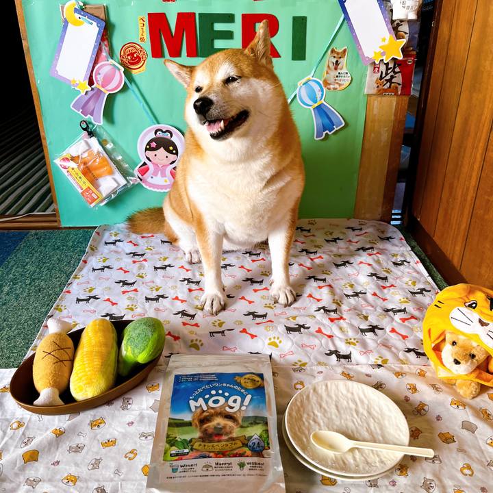 8ecf70f1 1fab 4a89 a0f5 5d0c5b91410c 1656639283036