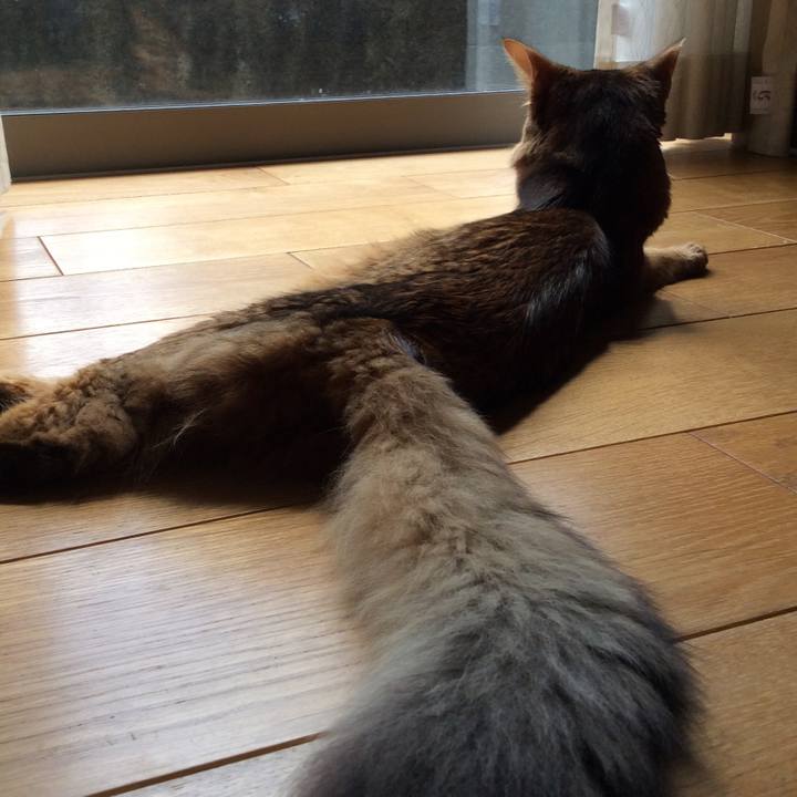 8ecf7d0b a410 4336 8a0c 8c93b862c5ca 1567742418982