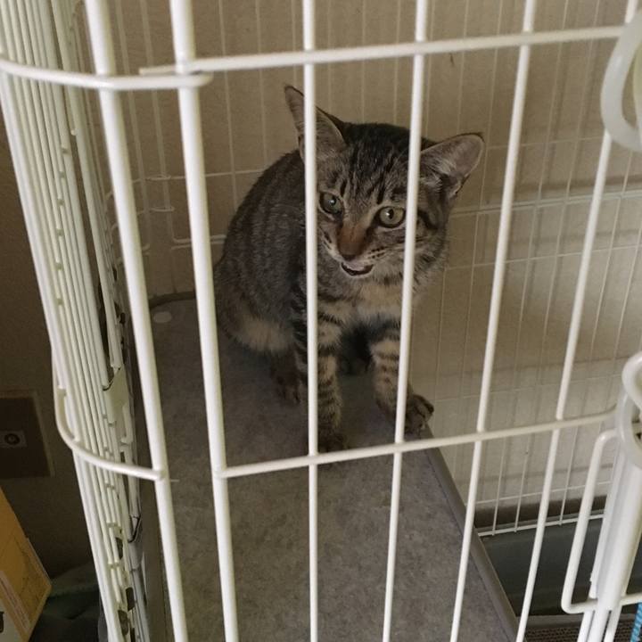 8ecfcd63 3a34 4eee b149 95fd6bb25b70 1536800176712