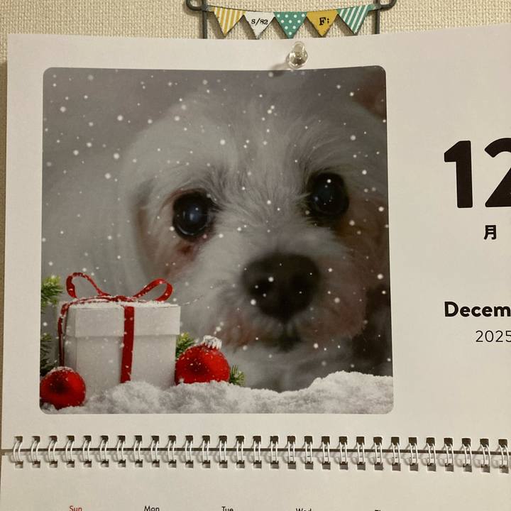 8ecffcae f031 4a61 b4db 7d15bb78f2bf 1766664580066