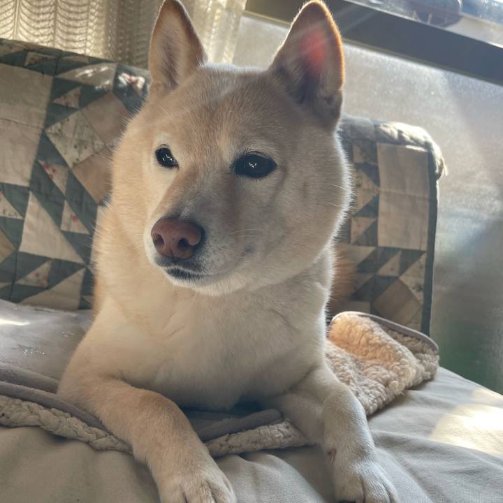 8ed0024e 4875 4afa 91d5 1060d55ddb64 1738381588876