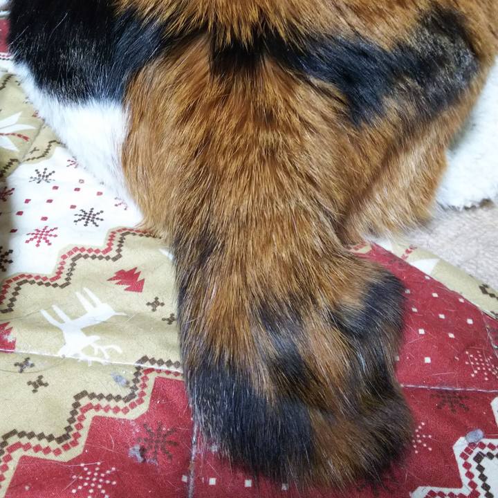 8ed0bdca 755e 4341 a9a4 9faf37d91d67 1551649797837