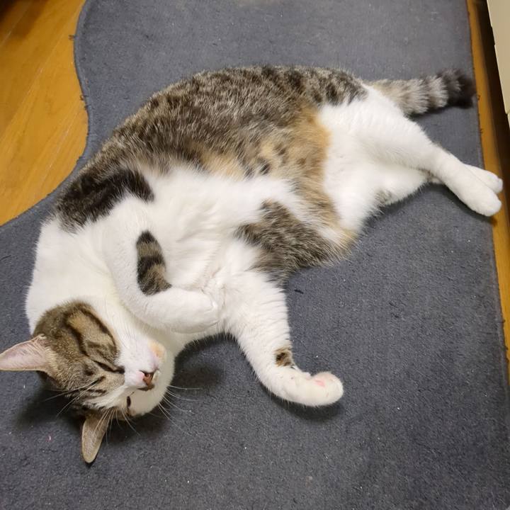 8ed0c835 f6a2 470b b4c4 e67cfc1af9cc 1697373778072