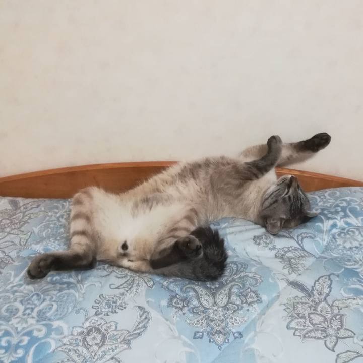 8ed0ff89 18ab 4f99 bf1f 763969b52568 1561217162004