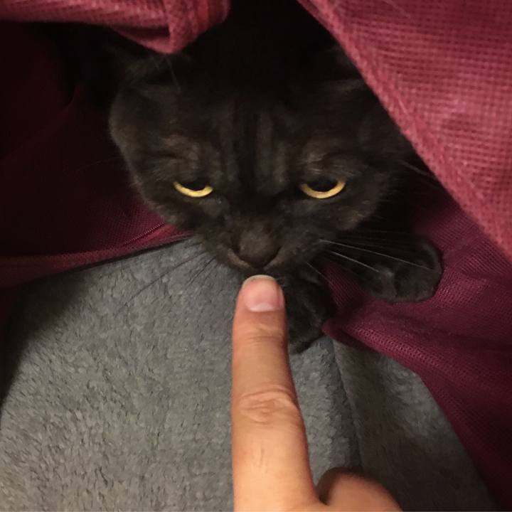 8ed11699 74d8 4934 82dc 716632d5c450 1573743319870