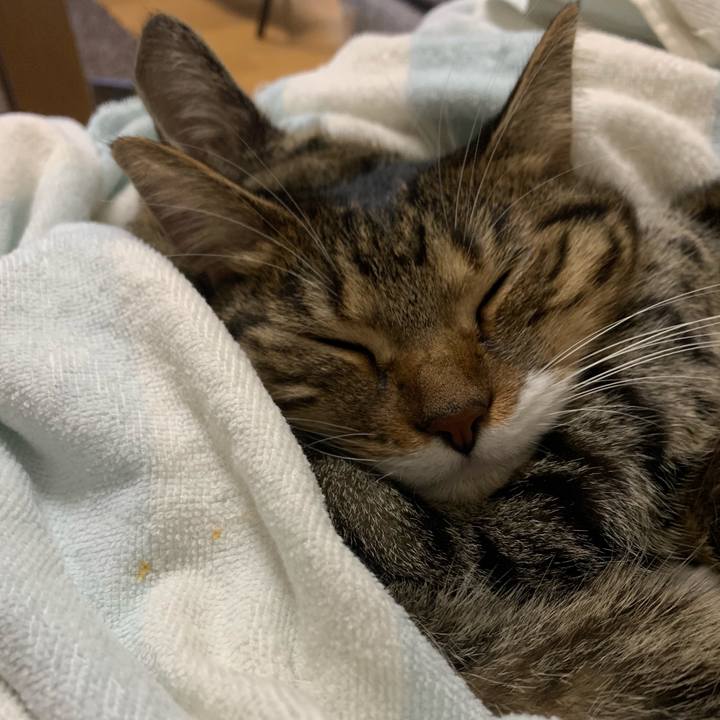 8ed131b9 fba3 4398 b458 39133d892132 1576235213584