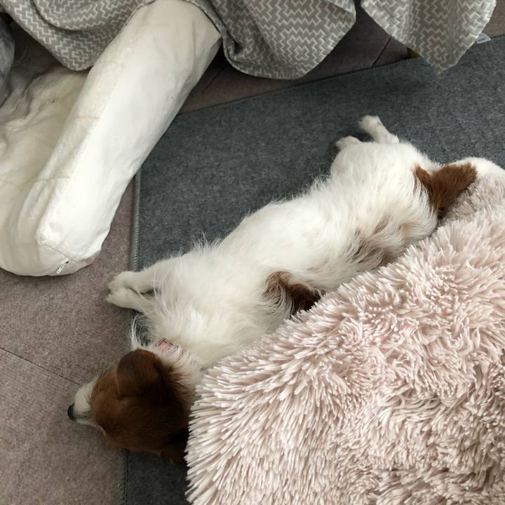 8ed13cd6 4e4b 4703 b808 28c2a332b87d 1617882095543