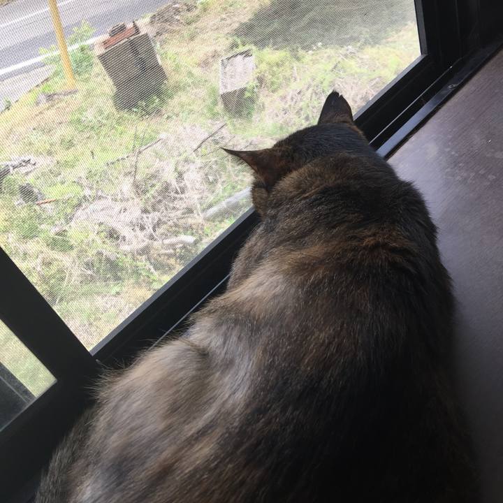 8ed1401e ea02 44f9 a14e 82363208adae 1559441866619