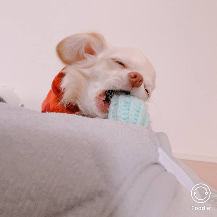 8ed14fc1 f2db 4acd bb21 21e5033a76f2 1605685021157