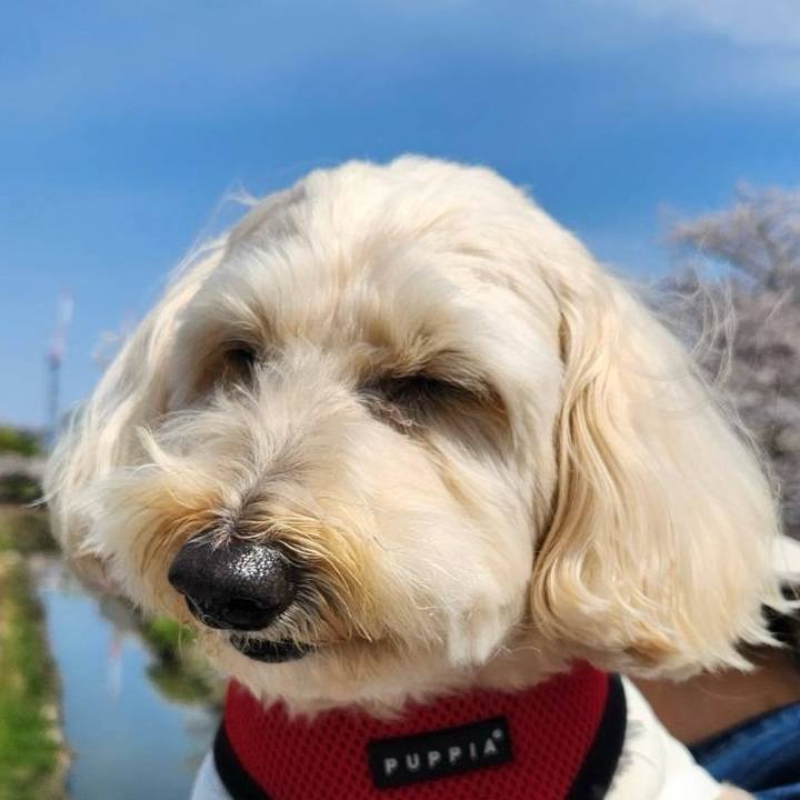 8ed17274 72da 4428 a915 7f247b81996c 1775278909894