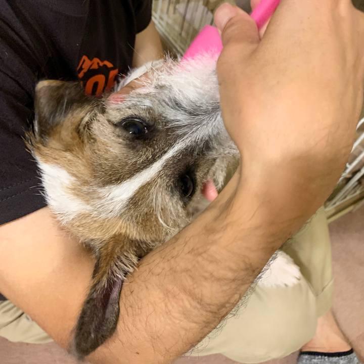 8ed1844f f557 40bf 980c 8b7b177b0f25 1572180531458