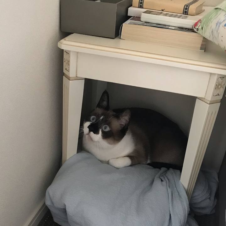 8ed1c032 7922 4c50 9bb9 f31829fcabfa 1561435227418