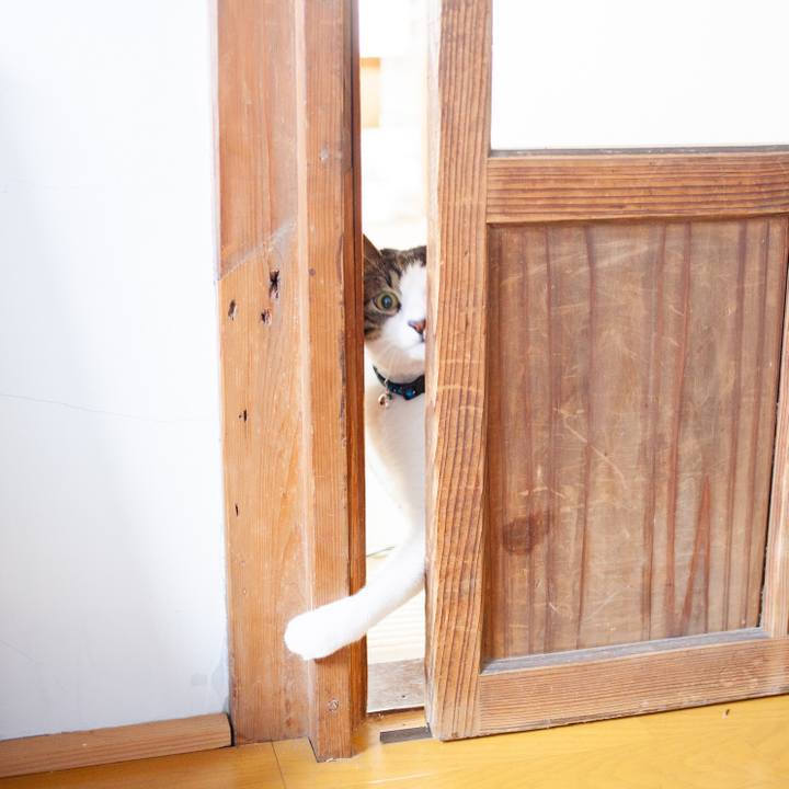 8ed2535f f6da 4ba7 ac35 4a30925da8ff 1551249983246