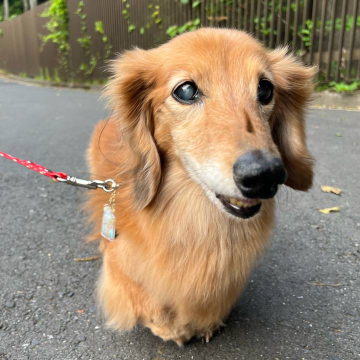 8ed255ed 1b5f 4713 88d8 f8b68f22b3e5 1683376516732