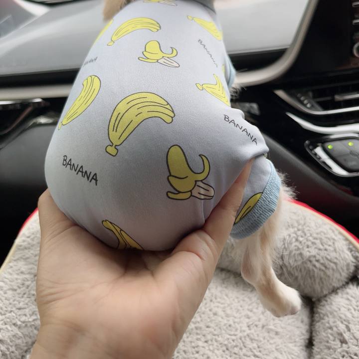 8ed25bad 2dc0 47d7 a402 875710b813d0 1728117756025