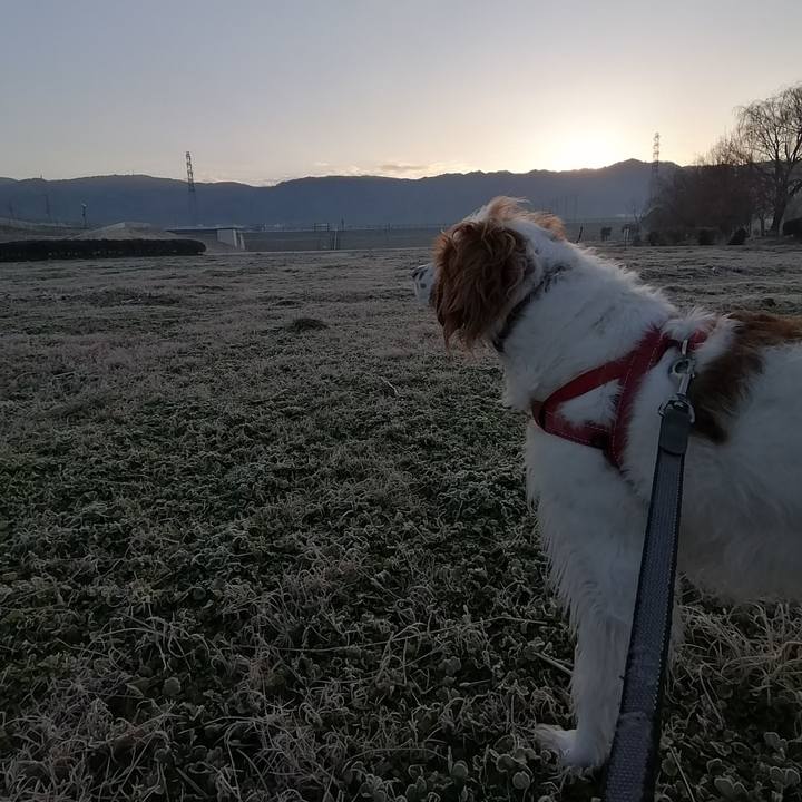 8ed263be de6e 437a 985e e60f38df1bfb 1581380096867