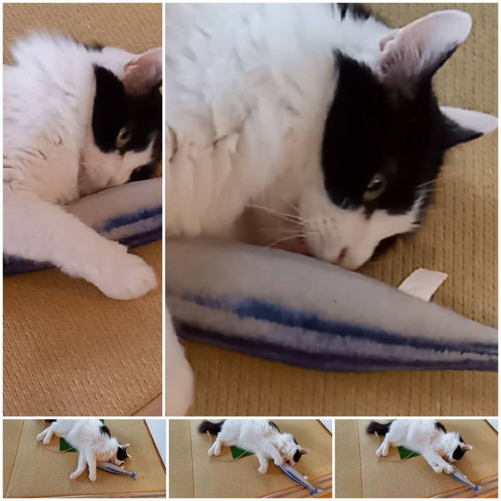 8ed29790 3a59 49d5 b70c 9fd77480c510 1622798208932