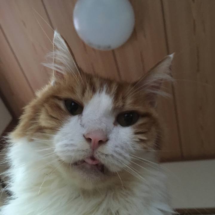 8ed29e8c 2d02 4b5b b205 e3203b955e5d 1570694945389