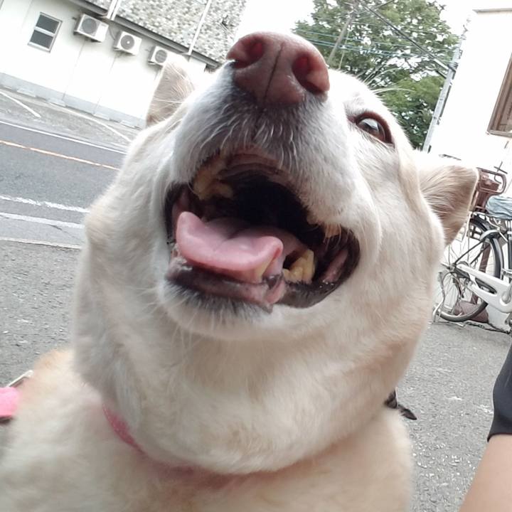 8ed2a8f8 cd5e 459c 9813 ba68a6b02723 1561636127337