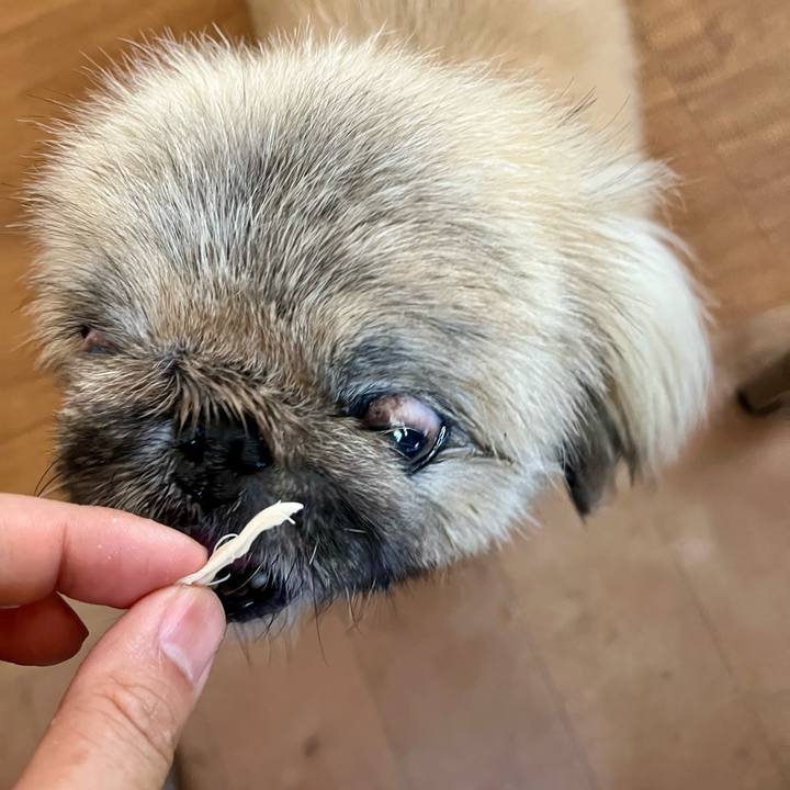 8ed2a9f1 5b0f 4b74 91c4 f20a7c0f9261 1749259384266